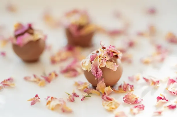 לוטוקינגס קזינו אפליקציית Android/iOS